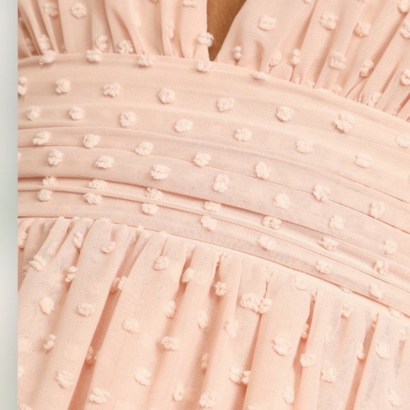 True Blush Swiss Dot Sleeveless Maxi Dress - Picture 4 of 6